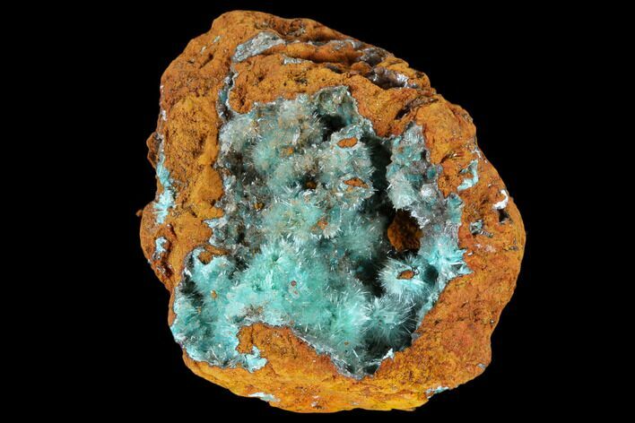 Fibrous Aurichalcite Crystal Cluster - Mexico #119156